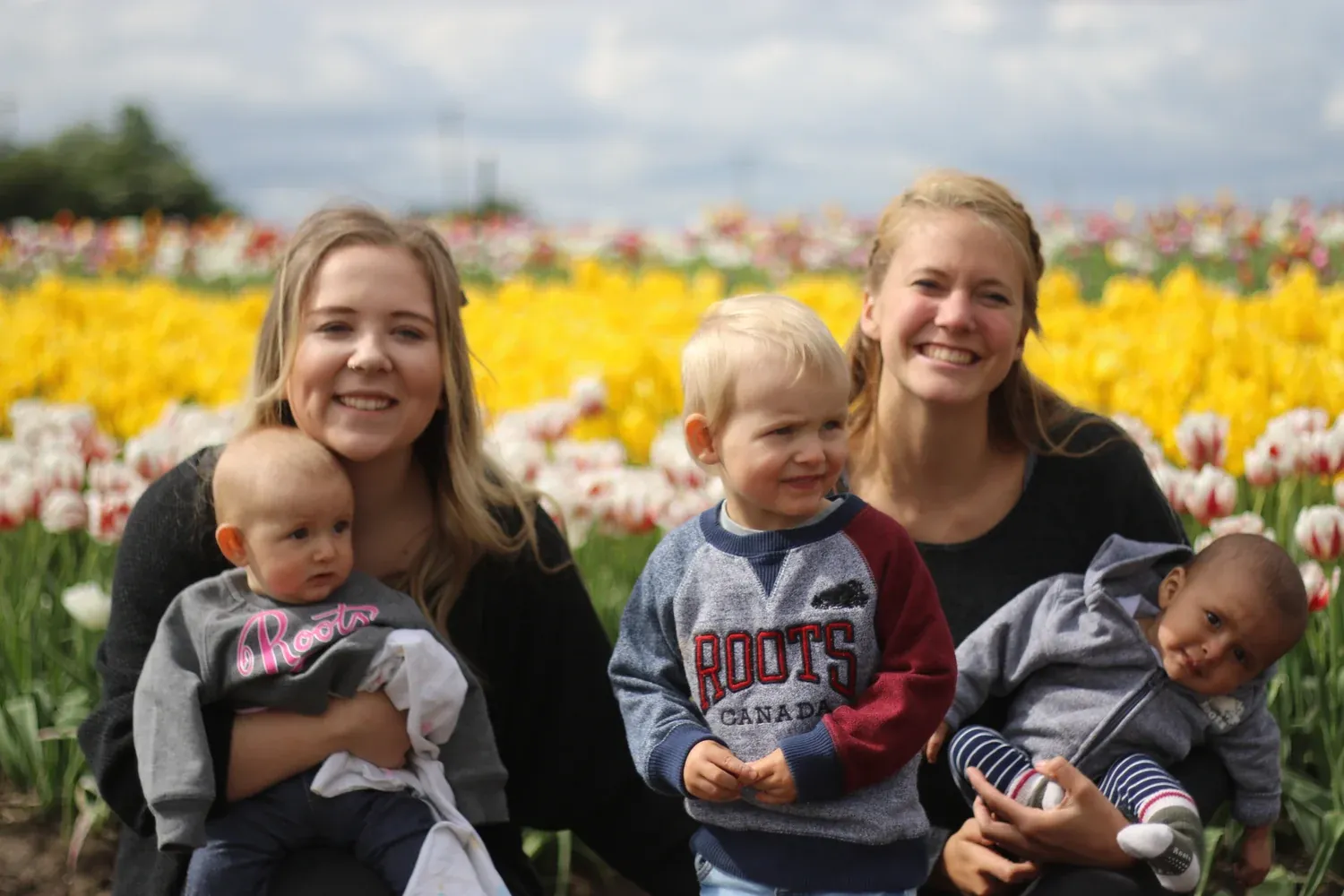 Us vs The Tulips