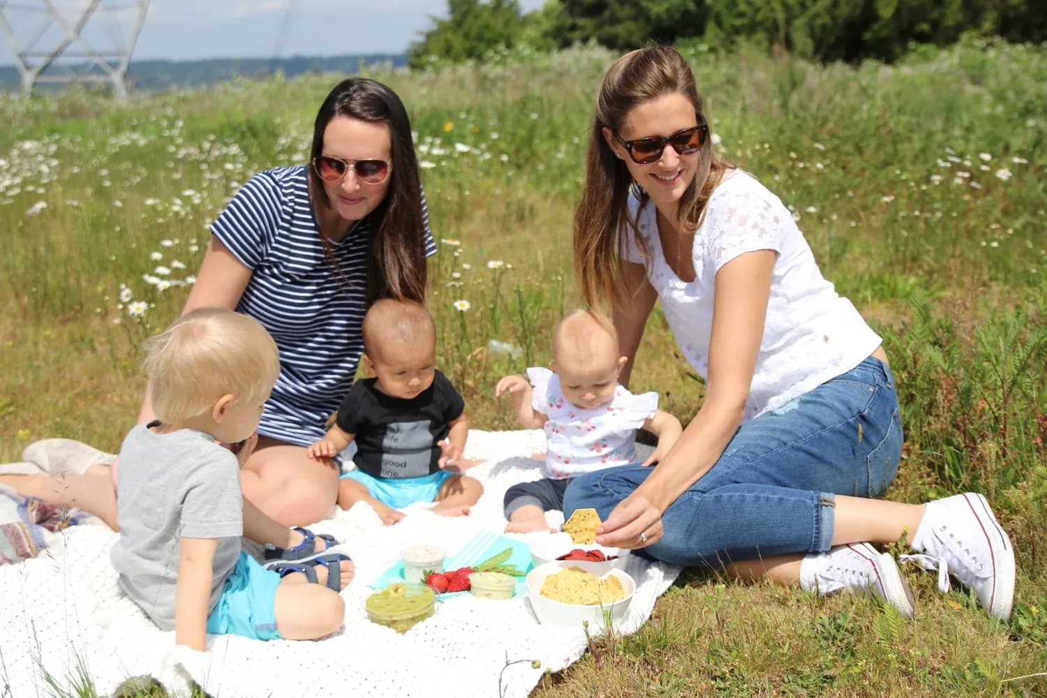 A picnic in the Meadow