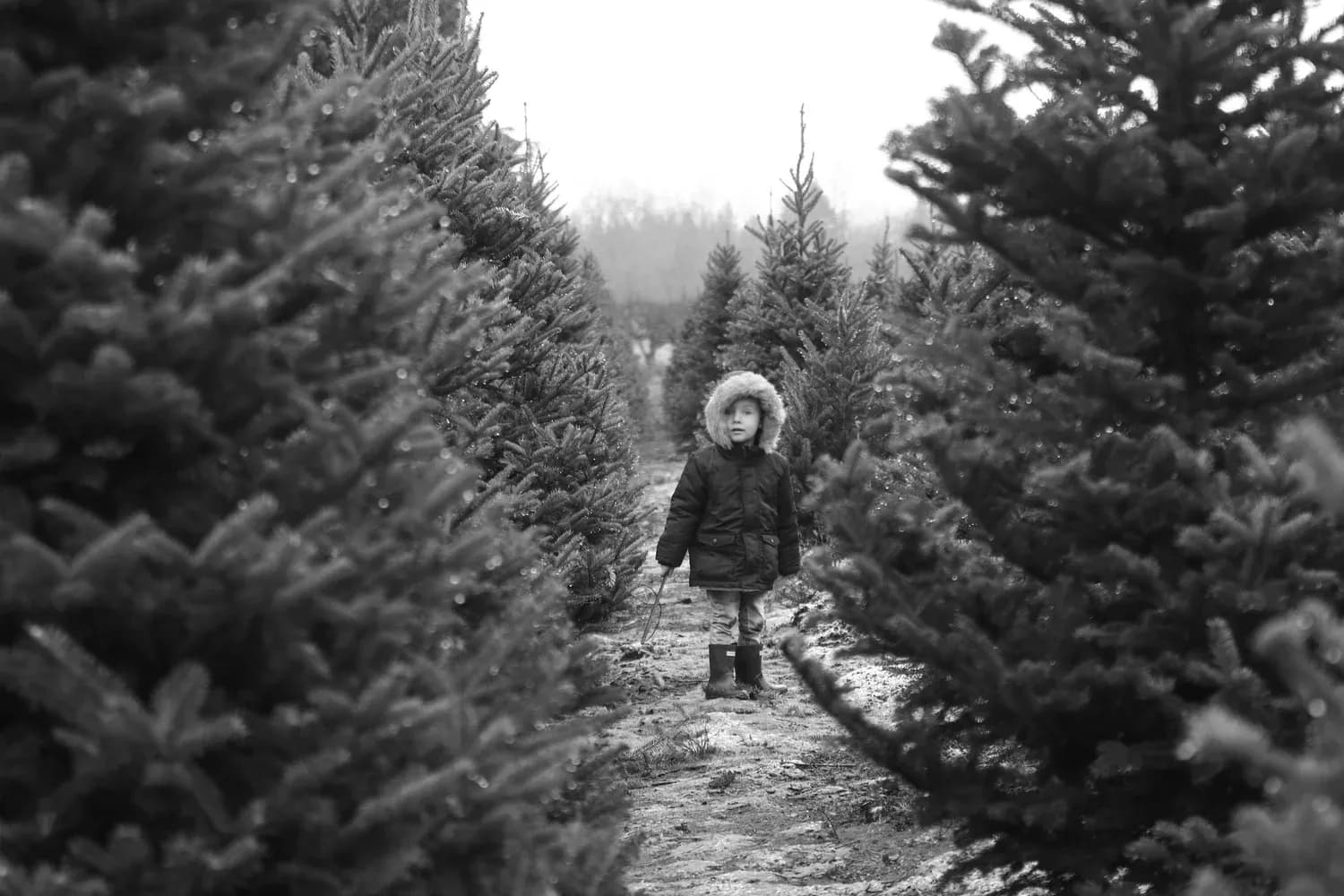 0 Christmas Tree