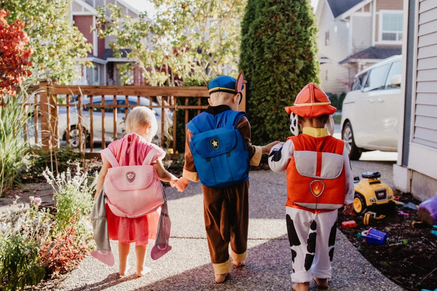 Paw Patrol Gang is Here