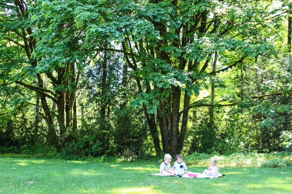 The Easiest Way to Picnic