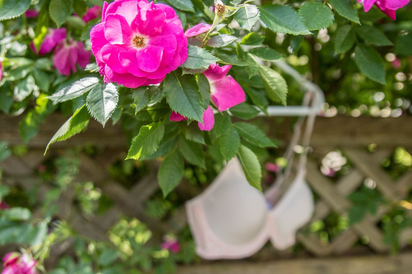 Pretty little details with Cake maternity
