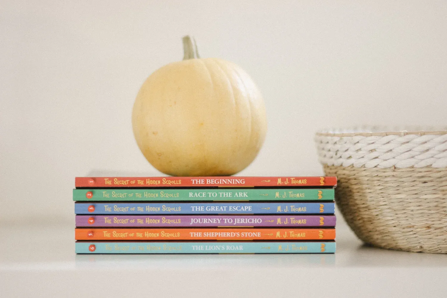 Homeschooling books-10.jpg