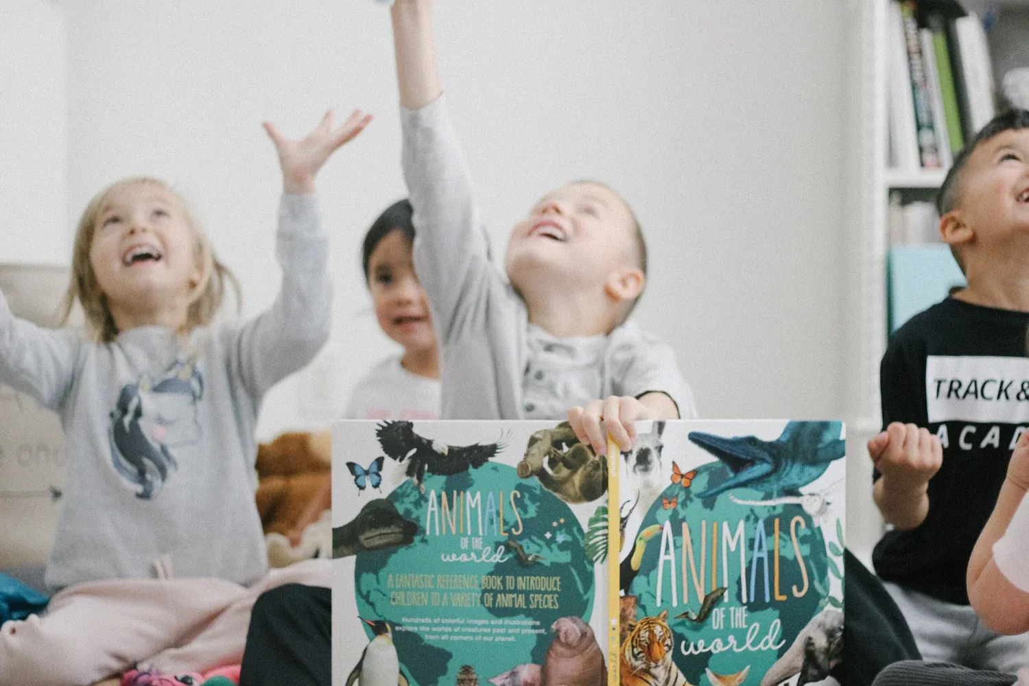 shoebox media winter 2020-8.jpg