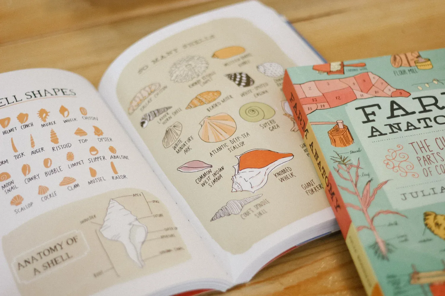 Homeschooling books-6.jpg